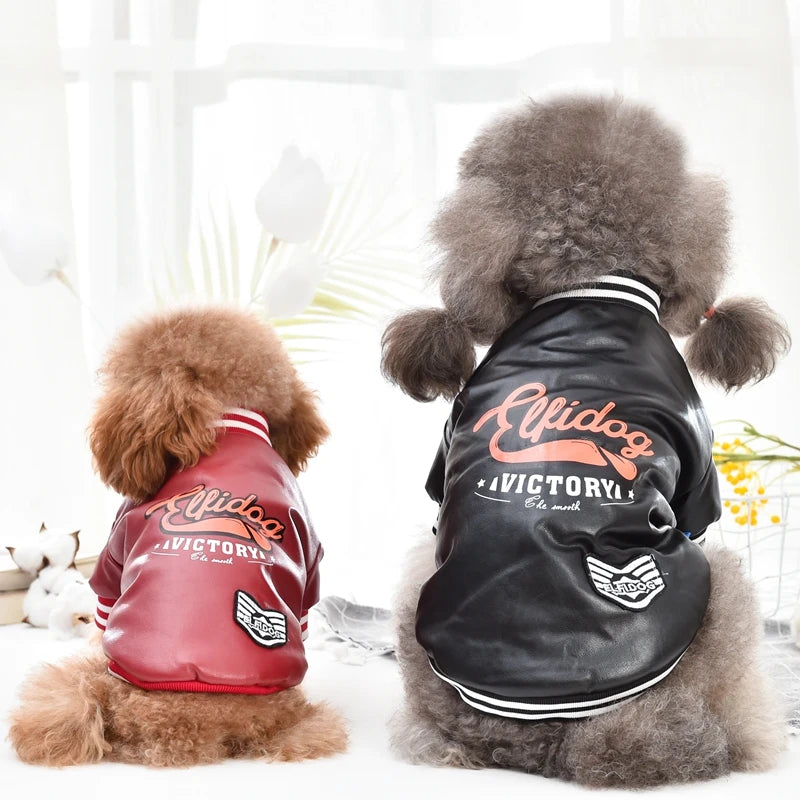Leather Dog Coat – Waterproof Winter Jacket for Medium & Large Dogs (XS–8XL)