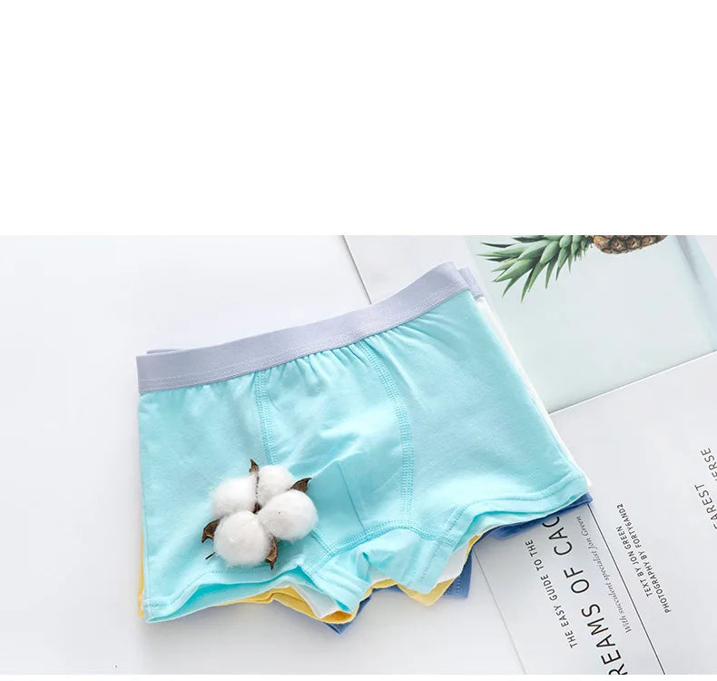 Boys' Underwear – Fun Vehicle & Fire Engine Print Comfortable Briefs & Boxers for Kids
