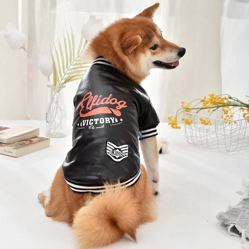 Leather Dog Coat – Waterproof Winter Jacket for Medium & Large Dogs (XS–8XL)