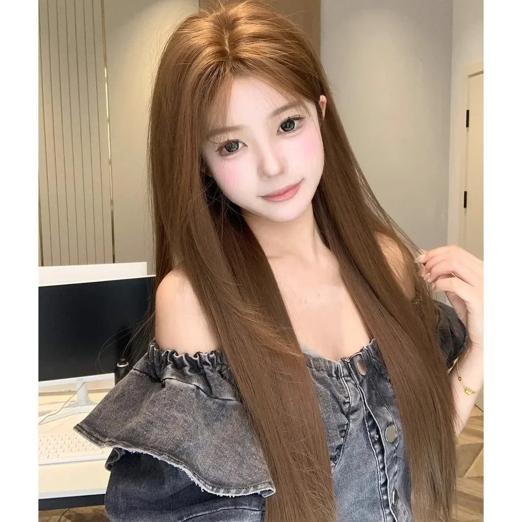 Brown Wig Long Shtriaght Hair Wig 24inch Light Brown Synthetic Wigs for Women Daily Use Heat Resistant Fibers Headband Wig 가발