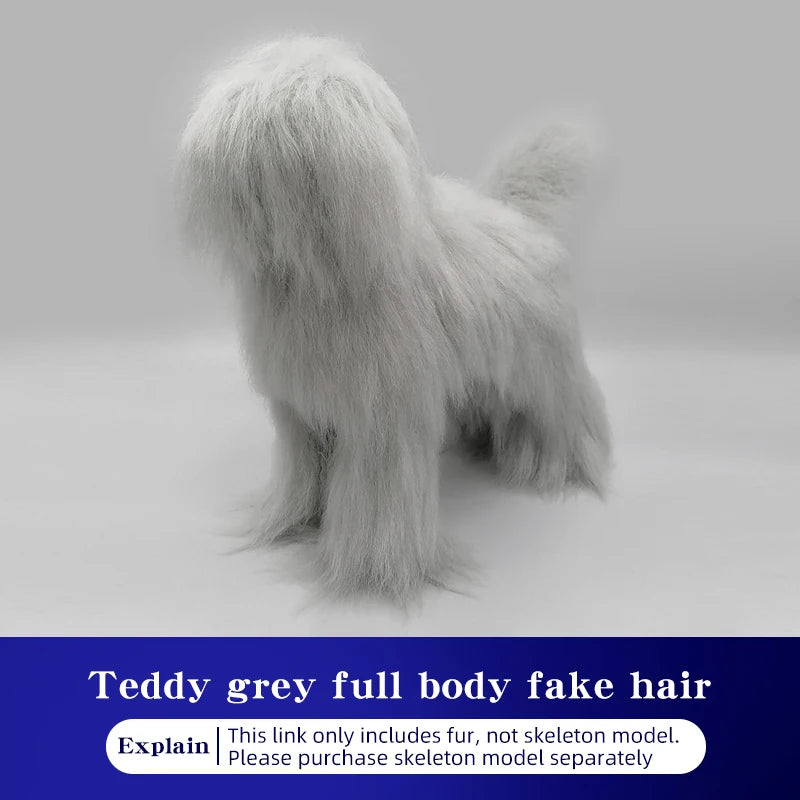 Teddy dog pet professional beauty simulation wig model practice special skeleton environmentally friendly PE material scissors