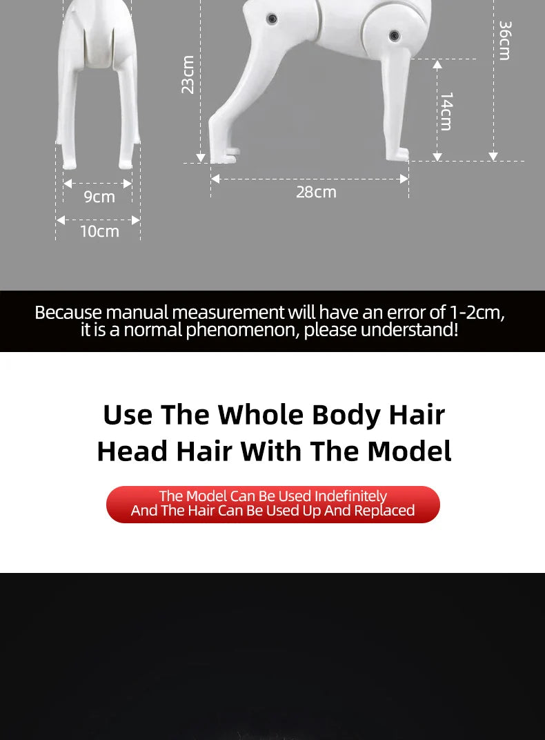 Teddy dog pet professional beauty simulation wig model practice special skeleton environmentally friendly PE material scissors