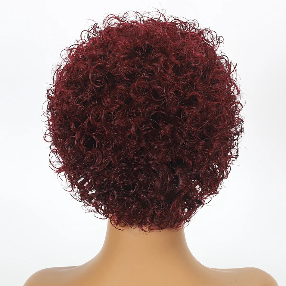 Pixie Cut Wig Short Bob Human Hair Wigs Blonde Burgundy 1B 30 Brown Color 13x1 Transparent Lace Wig For Women Natural Color Remy