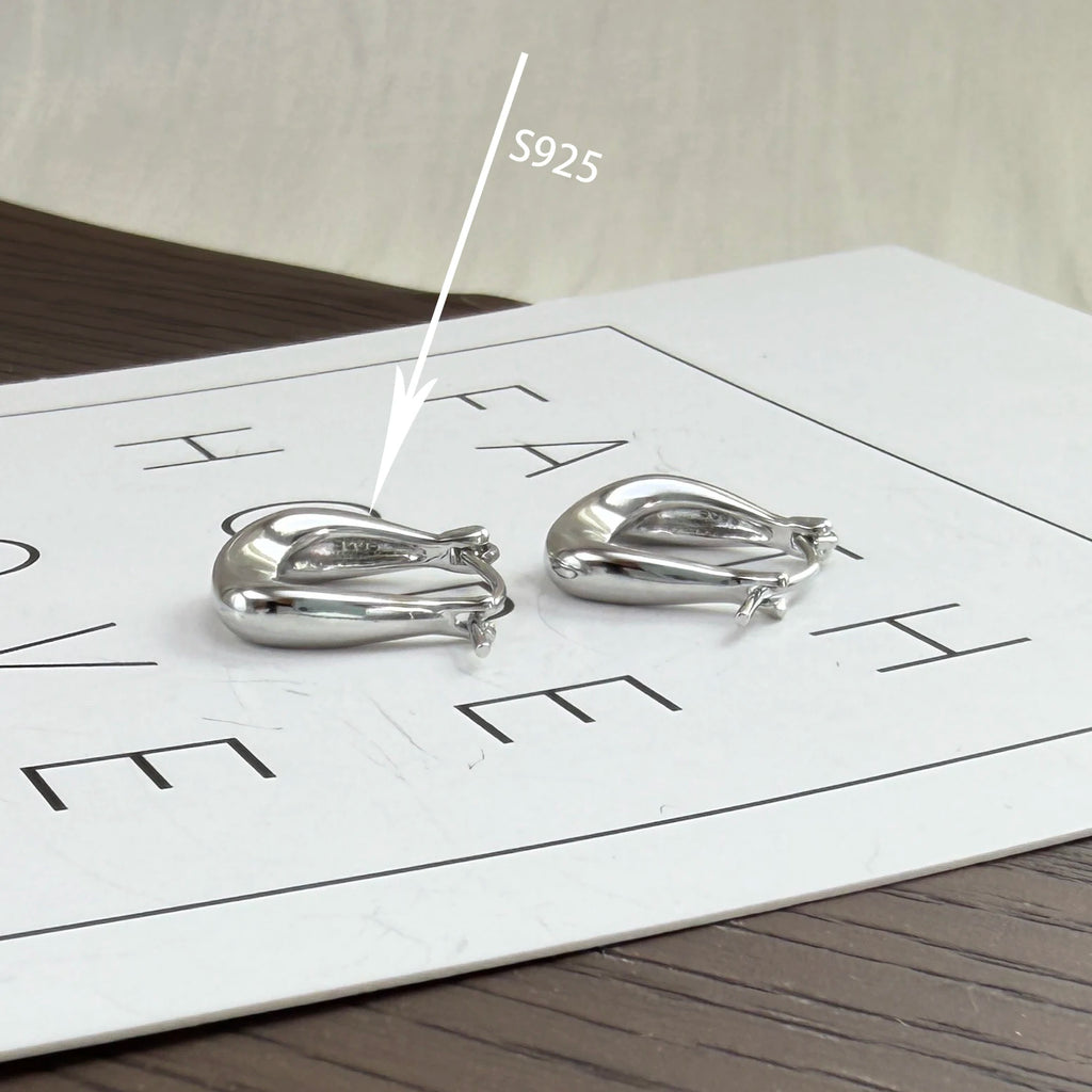925 Sterling Silver Earrings for Women Ear Hoop Versatile Sweet Girl Fashion Jewery New Year Gifts Accessories