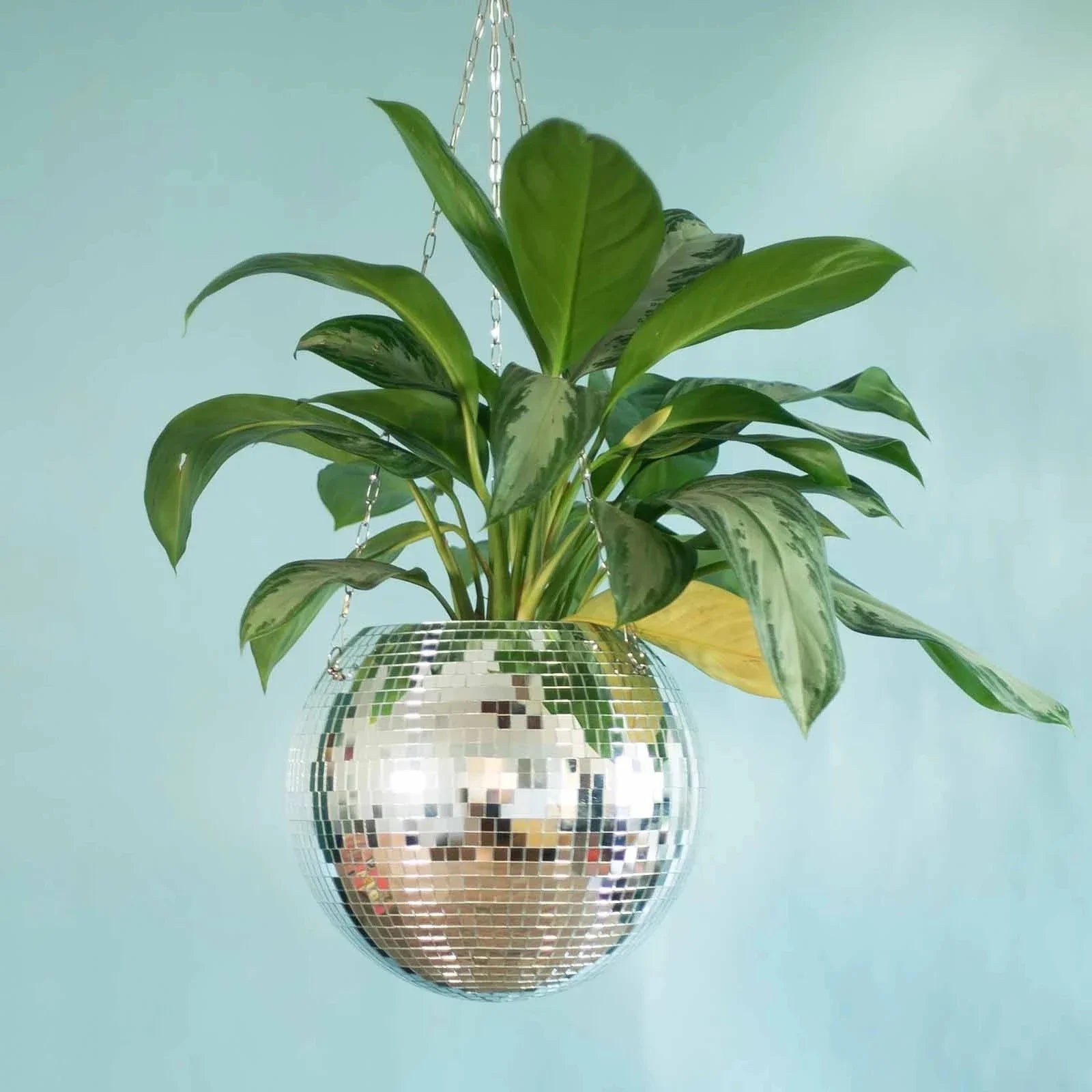 Disco Ball Hanging Flower Planter - Bohemian Rope Mirror Basket for Indoor Plants, Garden & Home Decor Vase