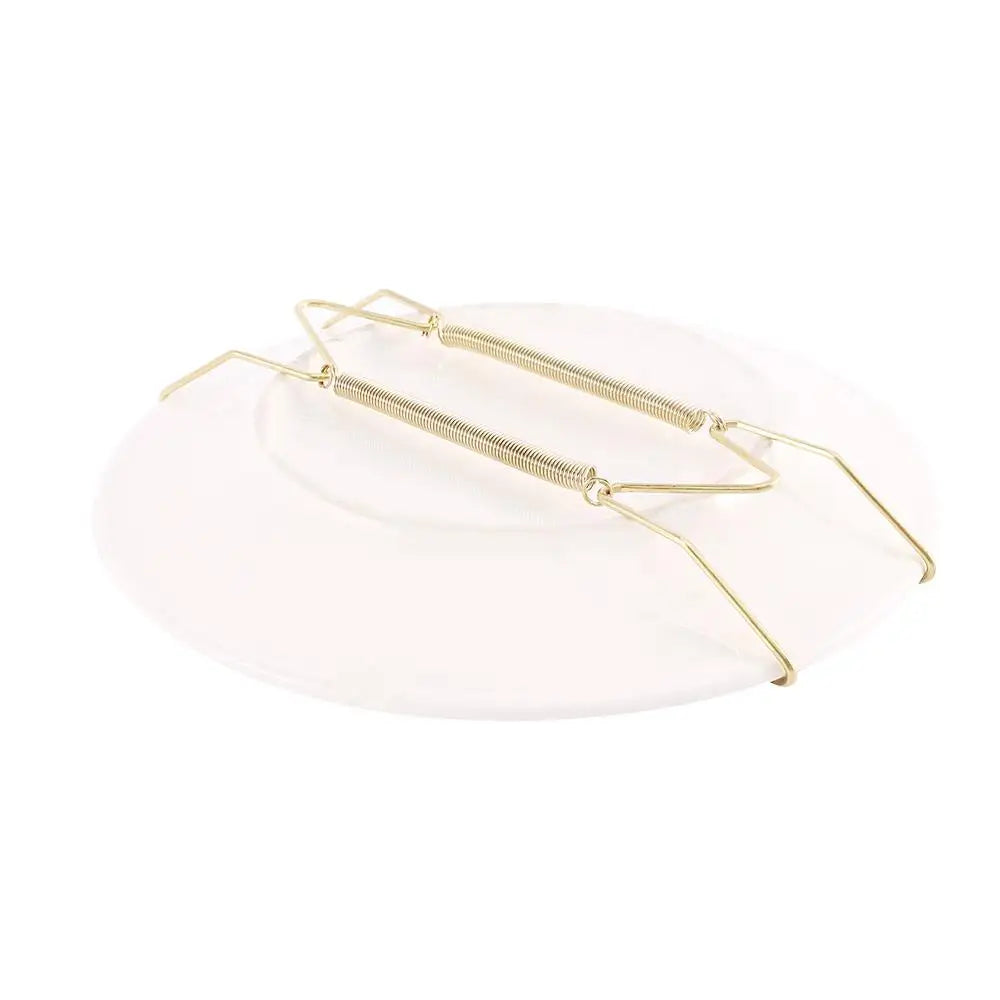 Dish Plate Wall Hanger | Stainless Steel Spring Holder | 7 Sizes: 6–16 Inch | Wall Display for Home Decor
