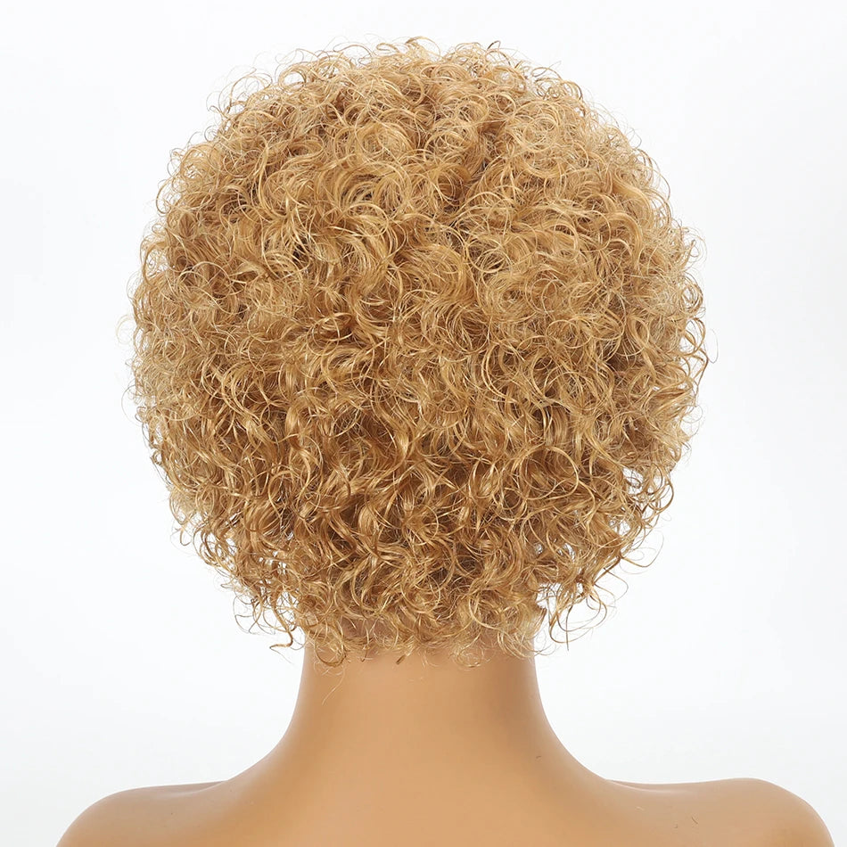Pixie Cut Wig Short Bob Human Hair Wigs Blonde Burgundy 1B 30 Brown Color 13x1 Transparent Lace Wig For Women Natural Color Remy